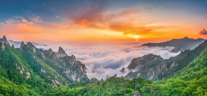 8월 국내 여행지 추천 설악산