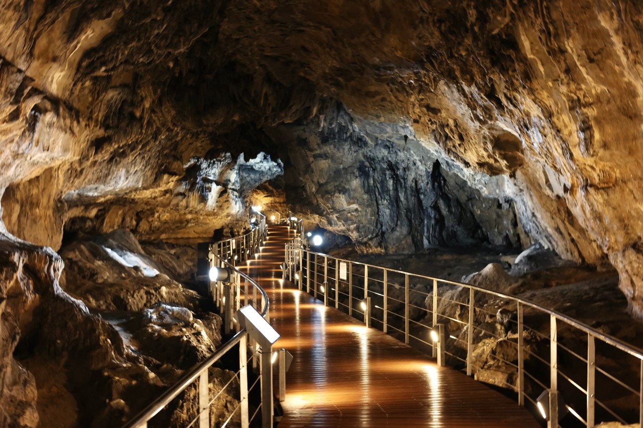 2025 평창 시티투어 예약&amp;#44; 2025 평창 시티투어 시간표&amp;#44; KTX 당일치기 여행&amp;#44; 가성비 여행