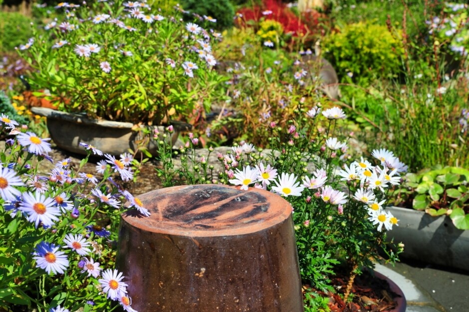 들국화 전시회4