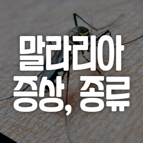 말라리아 증상 및 종류