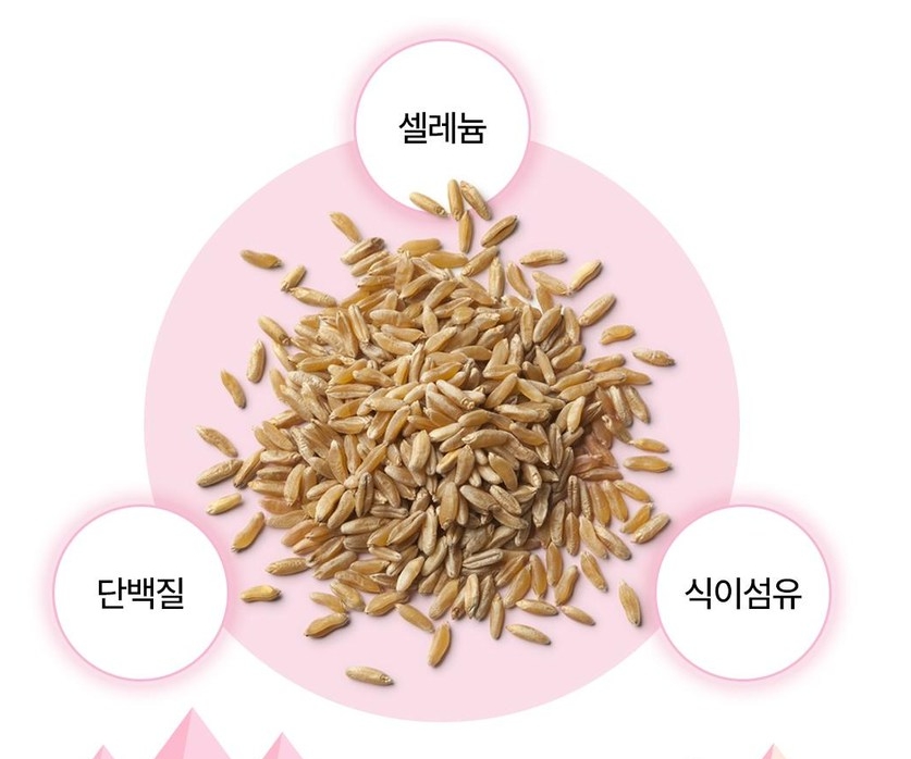동국제약-마이핏S-고소한-카무트-효소-누룽지맛,-90g,-1개