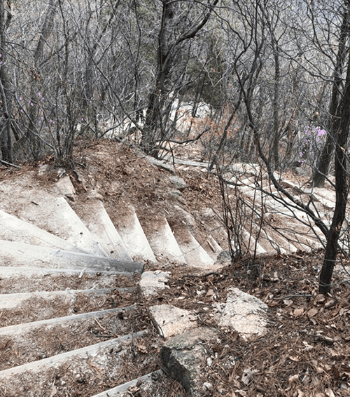 보국문11