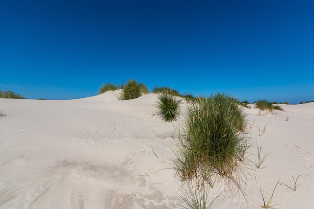 폭염 주의보, 경보, 특보 기준 및 대처 방법