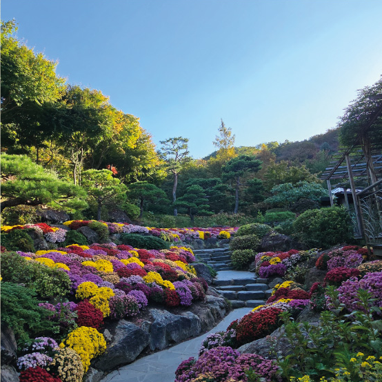 화담숲 홈페이지 참조