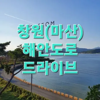 마산 해안도로 5월의 꽃 다정큼나무 산딸나무 해당화_8