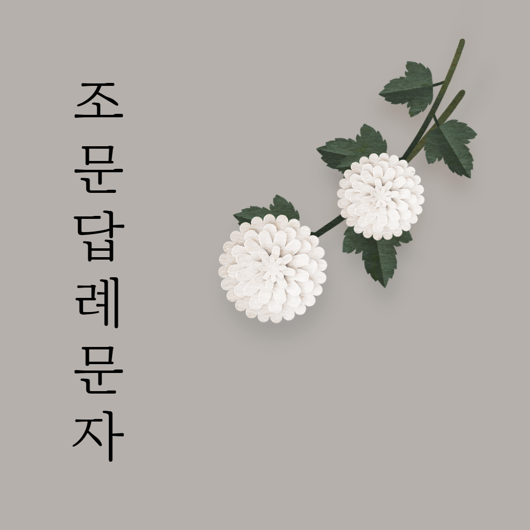 조문 답례문자