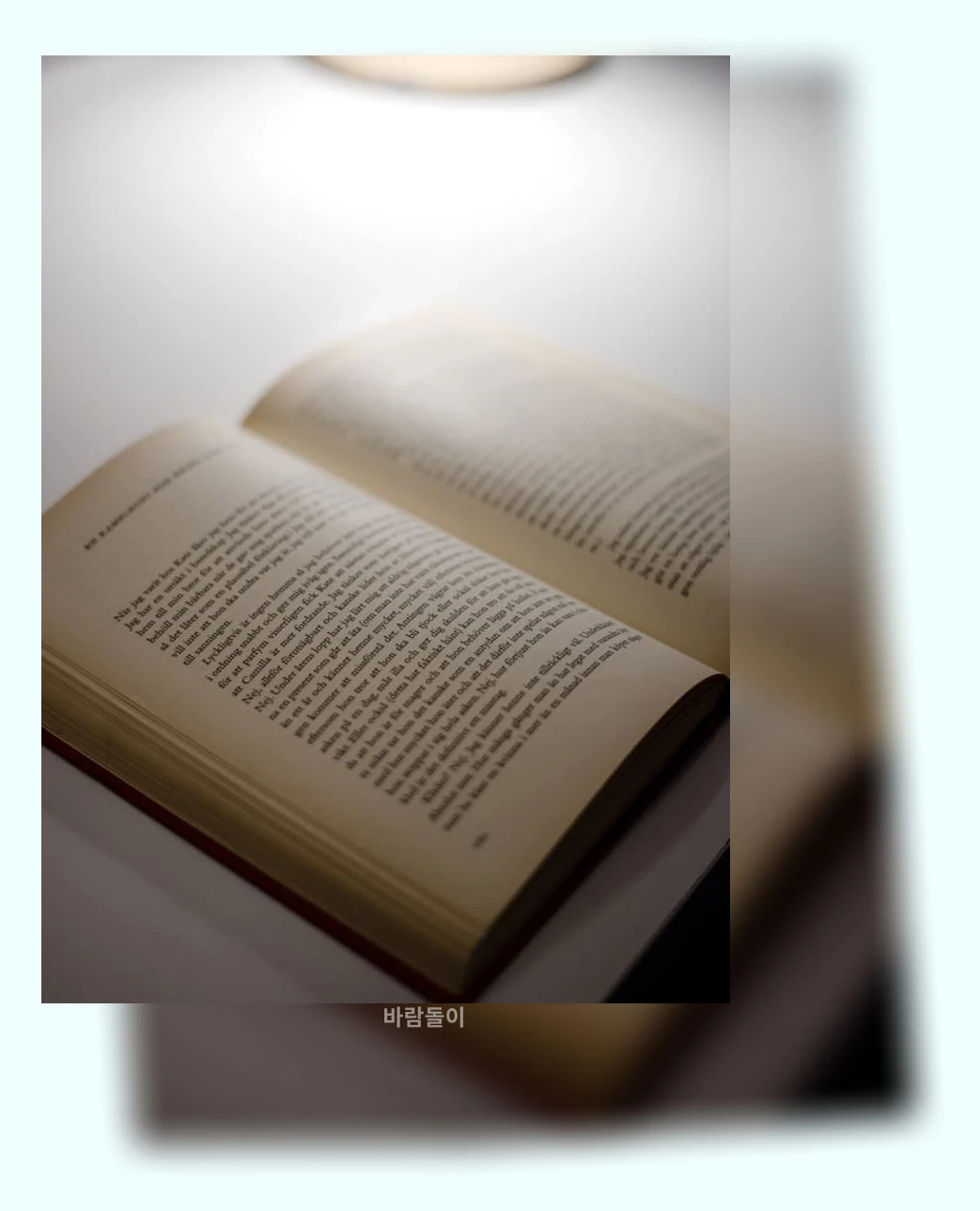 독서 습관_1_subsection