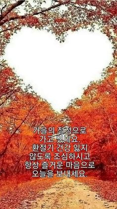 가을이미지