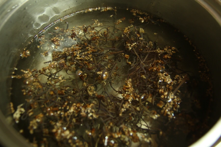 말린 고사리 물에 담근 모습