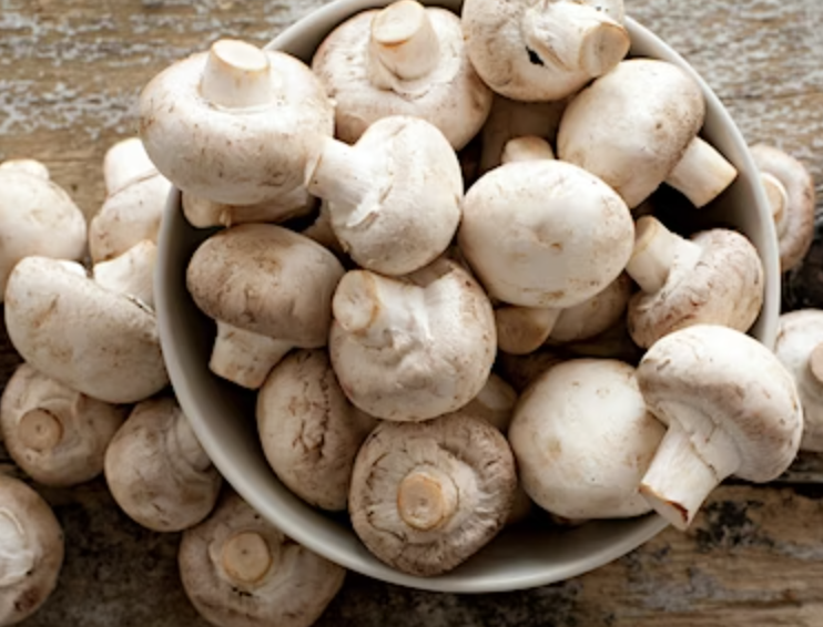 양송이버섯 구입요령