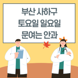 부산 사하구 토요일 일요일 안과 진료 병원 리스트