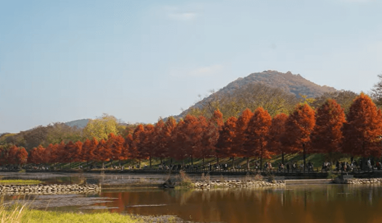 가을 단풍여행 추천 단풍 절정시기