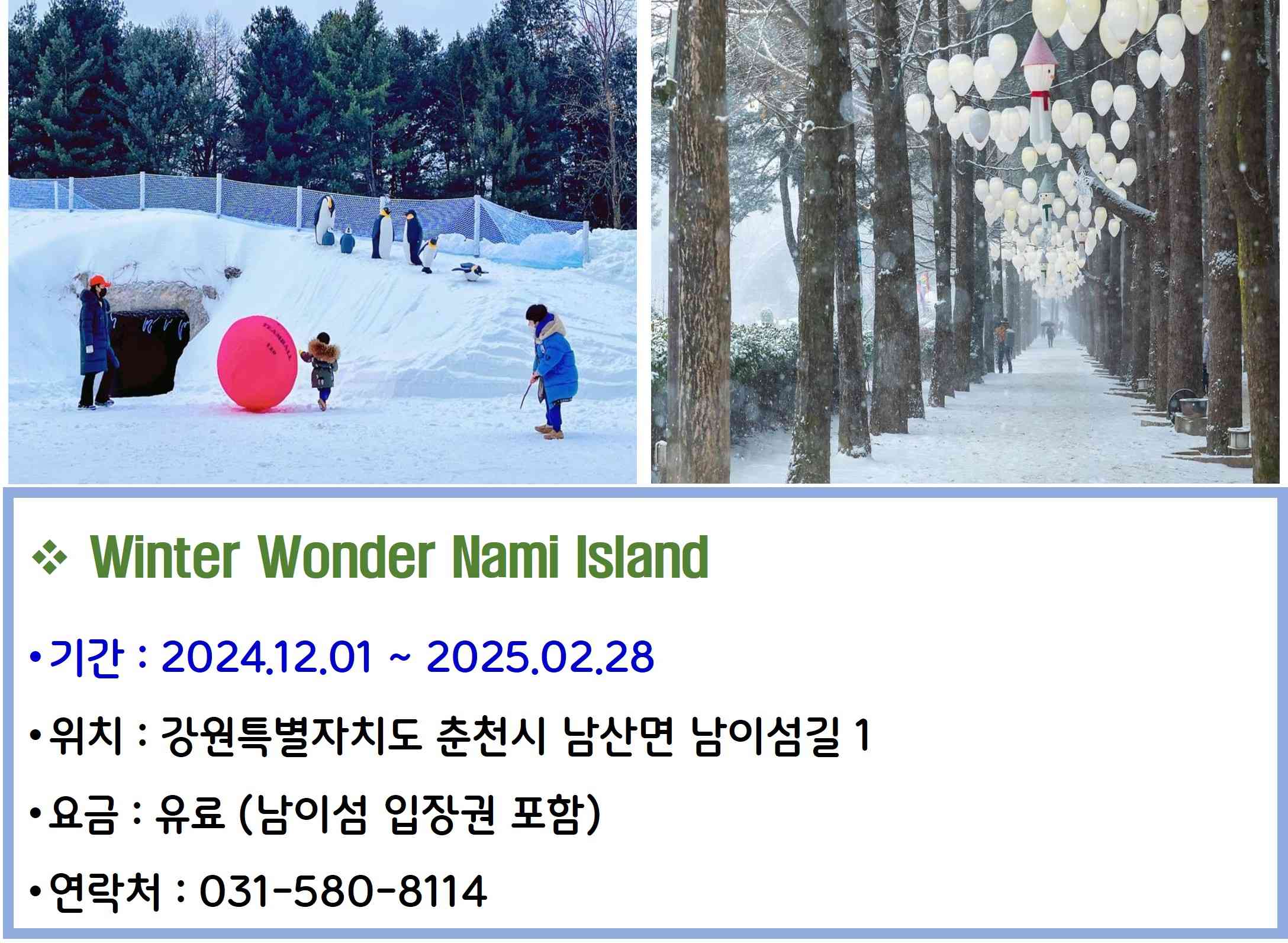Winter Wonder Nami Island