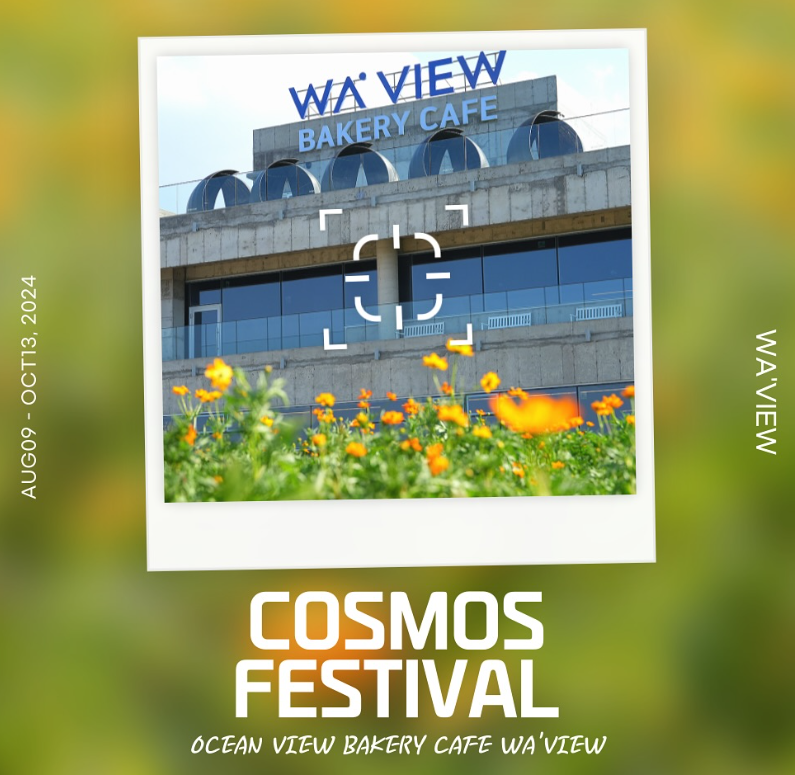 웨이뷰 코스모스 축제