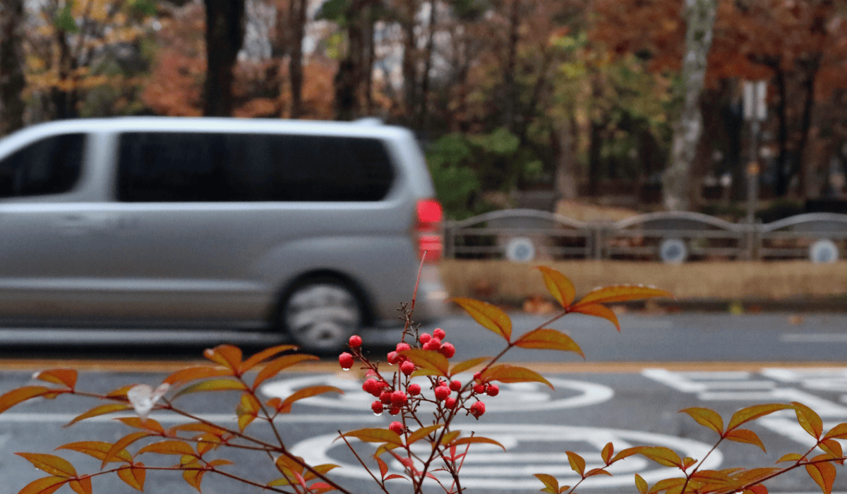 스타렉스_캠핑카_중고가격_6