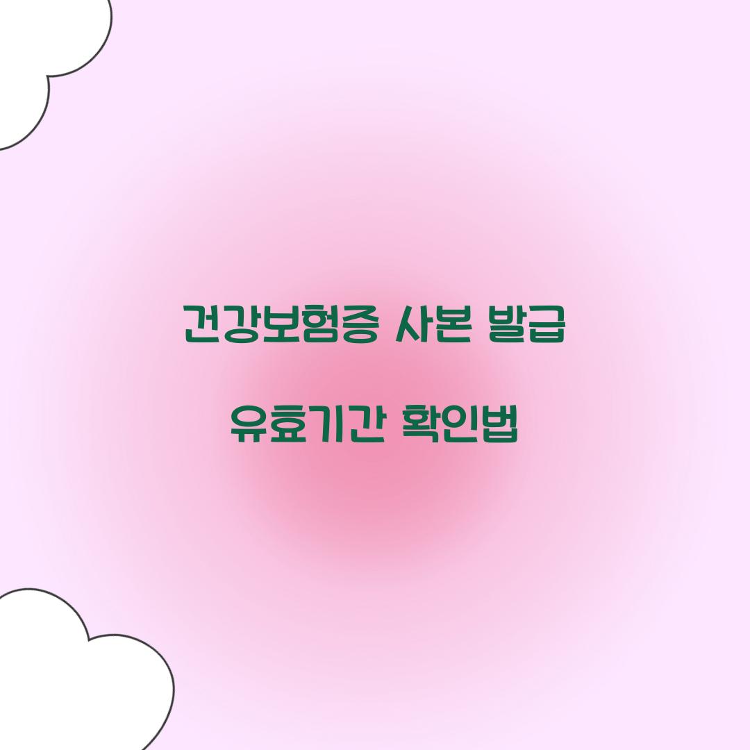 건강보험증 사본 발급 유효기간 확인법