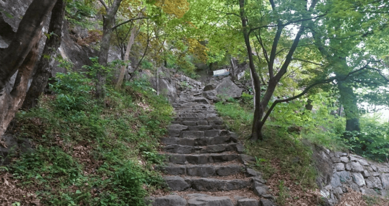 4, 도선굴 구미시