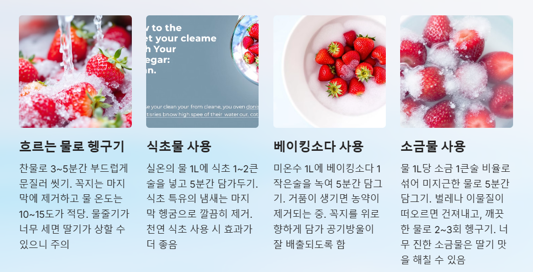딸기 세척법