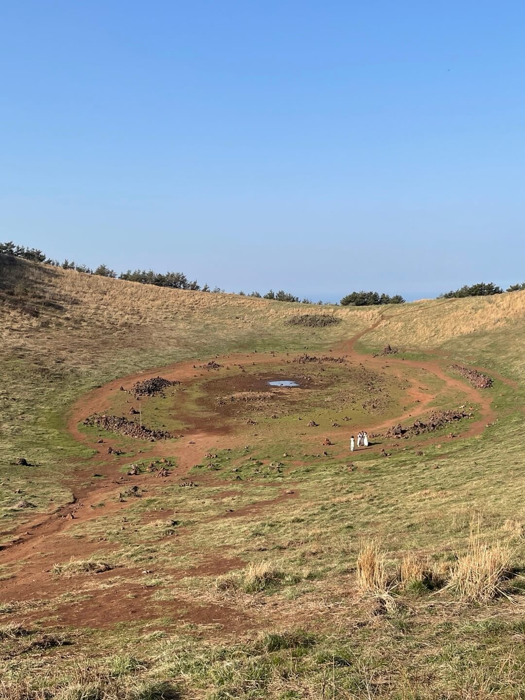 제주도 항공권 싸게 사는 방법