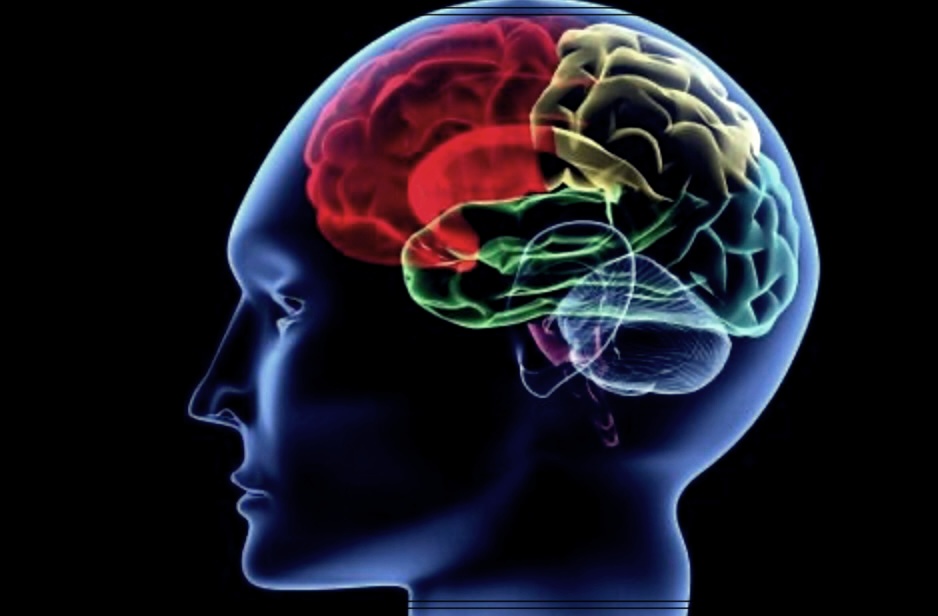 청신경초종 후유증 무슨 종양일까? 원인, 이유, 해결책