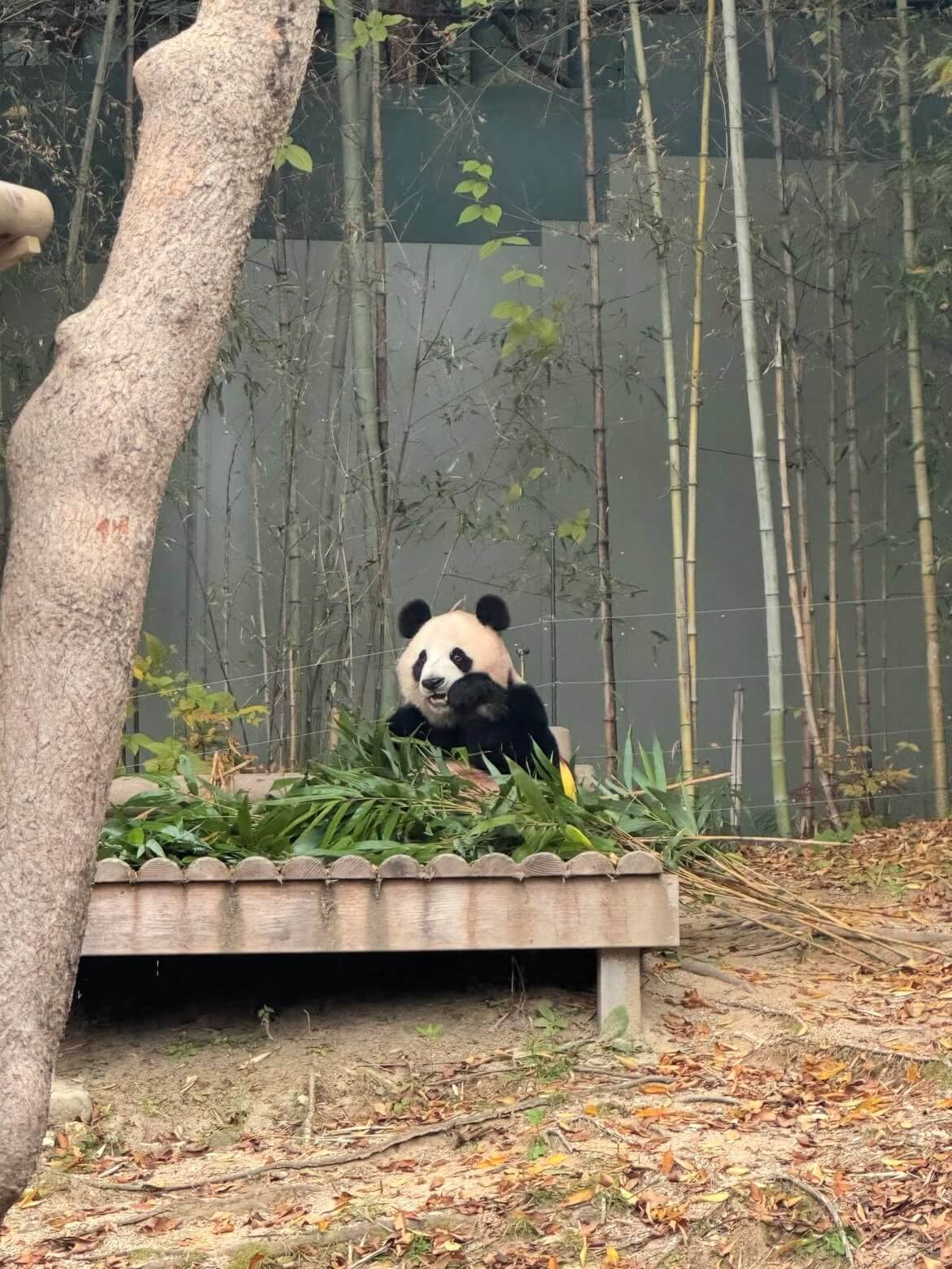 2026 수능 수험생을 위한 작은 보상｜할인&middot;에버랜드&middot;영화관&middot;항공&middot;쇼핑 관련사진