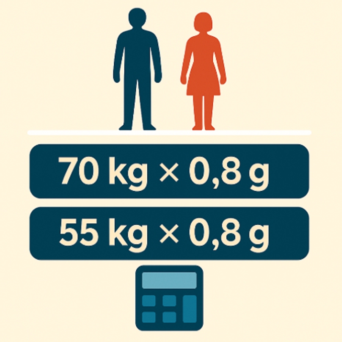 &ldquo;단백질 섭취량을 계산하는 남녀 캐릭터와 계산기 아이콘 &ndash; 하루 권장량 계산법 시각화 일러스트&rdquo;