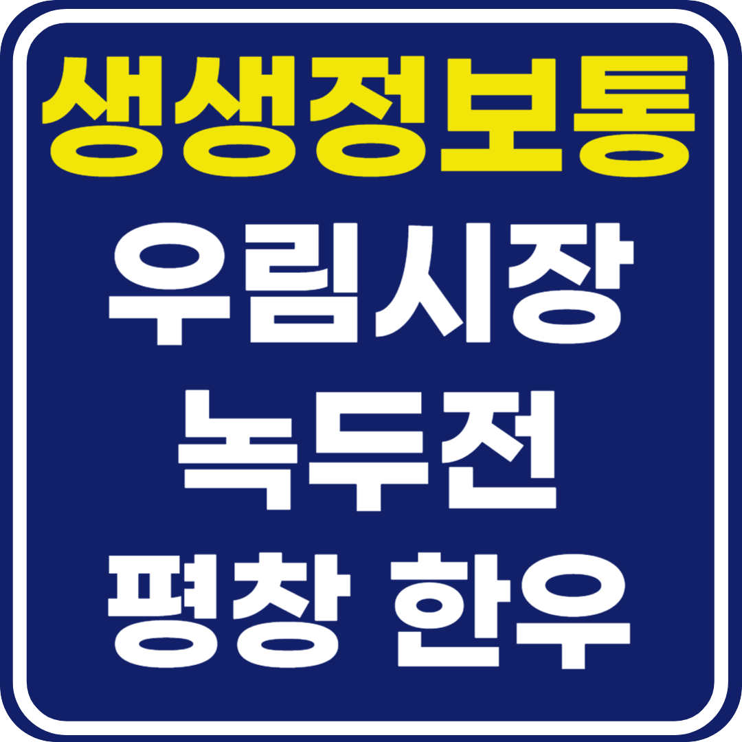 생생 정보통 맛집오늘방송 우림시장 녹두전 평창 한우