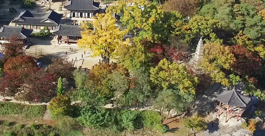 여주 신륵사 단풍 가을 여행 고찰의 가을 하루