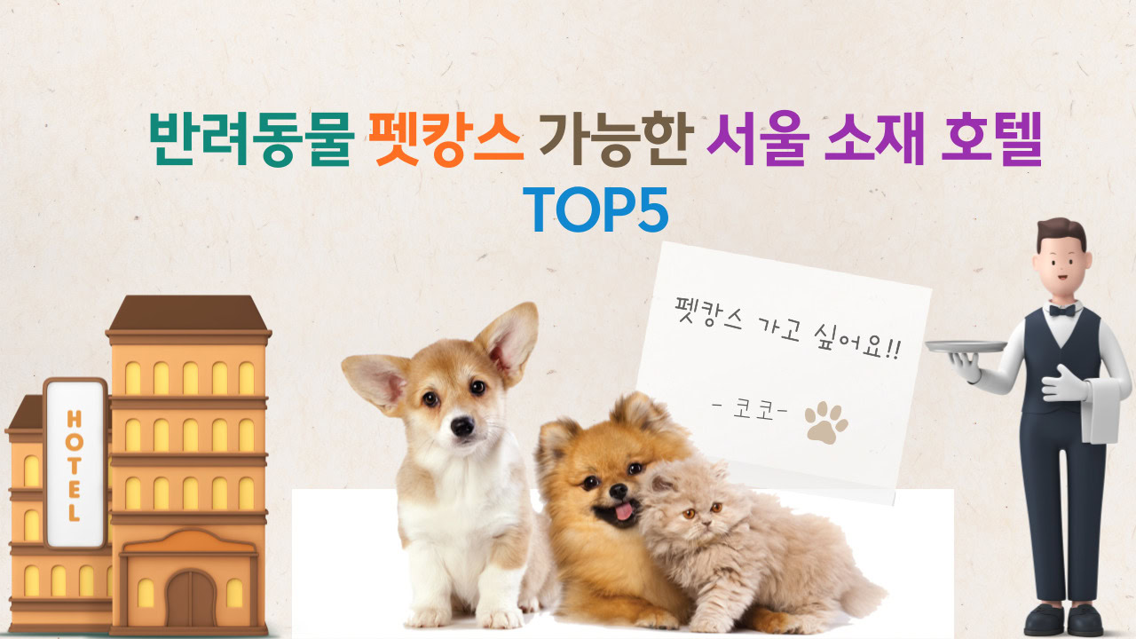 반려동물 호텔