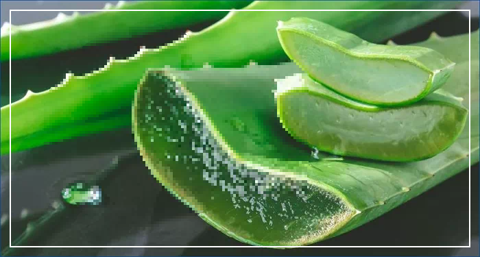 알로에베라