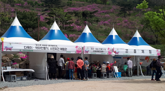 산청황매산 철쭉제