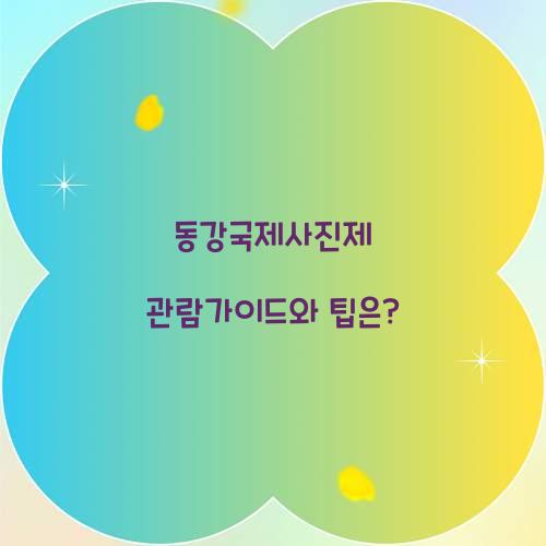 동강국제사진제