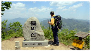 쫓비산