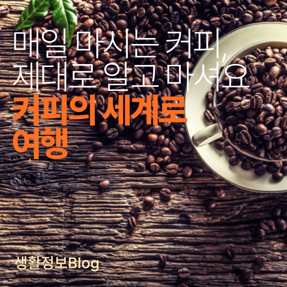 커피의 역사, 종류, 추출 방식을 배우고, 건강과 환경에 대한 중요한 정보까지 얻으세요. 커피와 함께하는 당신의 일상을 더욱 특별하게 만들어 줄 길잡이입니다.