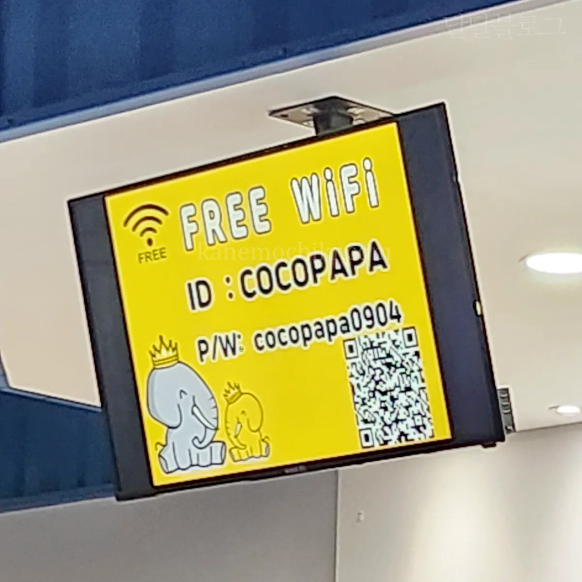 코코파파-키즈카페-와이파이