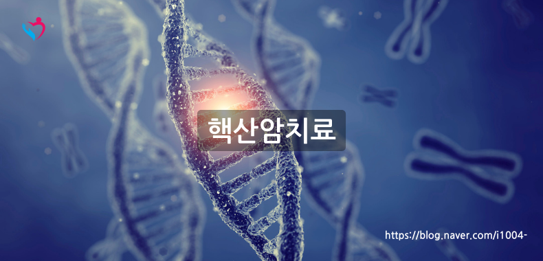 핵산암치료