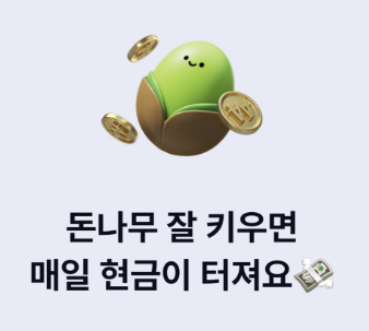 케이뱅크 돈나무