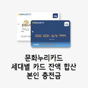 카드 두장