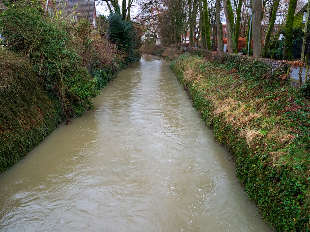 Drainage