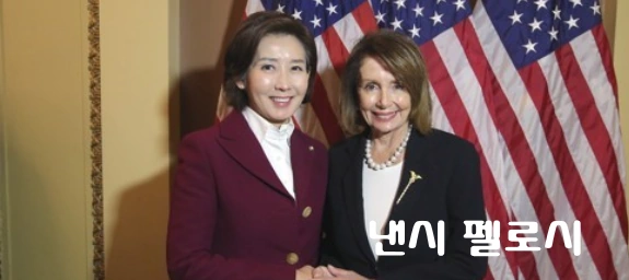낸시 펠로시 방한