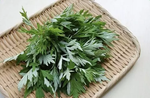 쑥 레시피