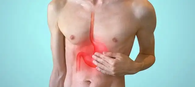 위염에 좋은 음식