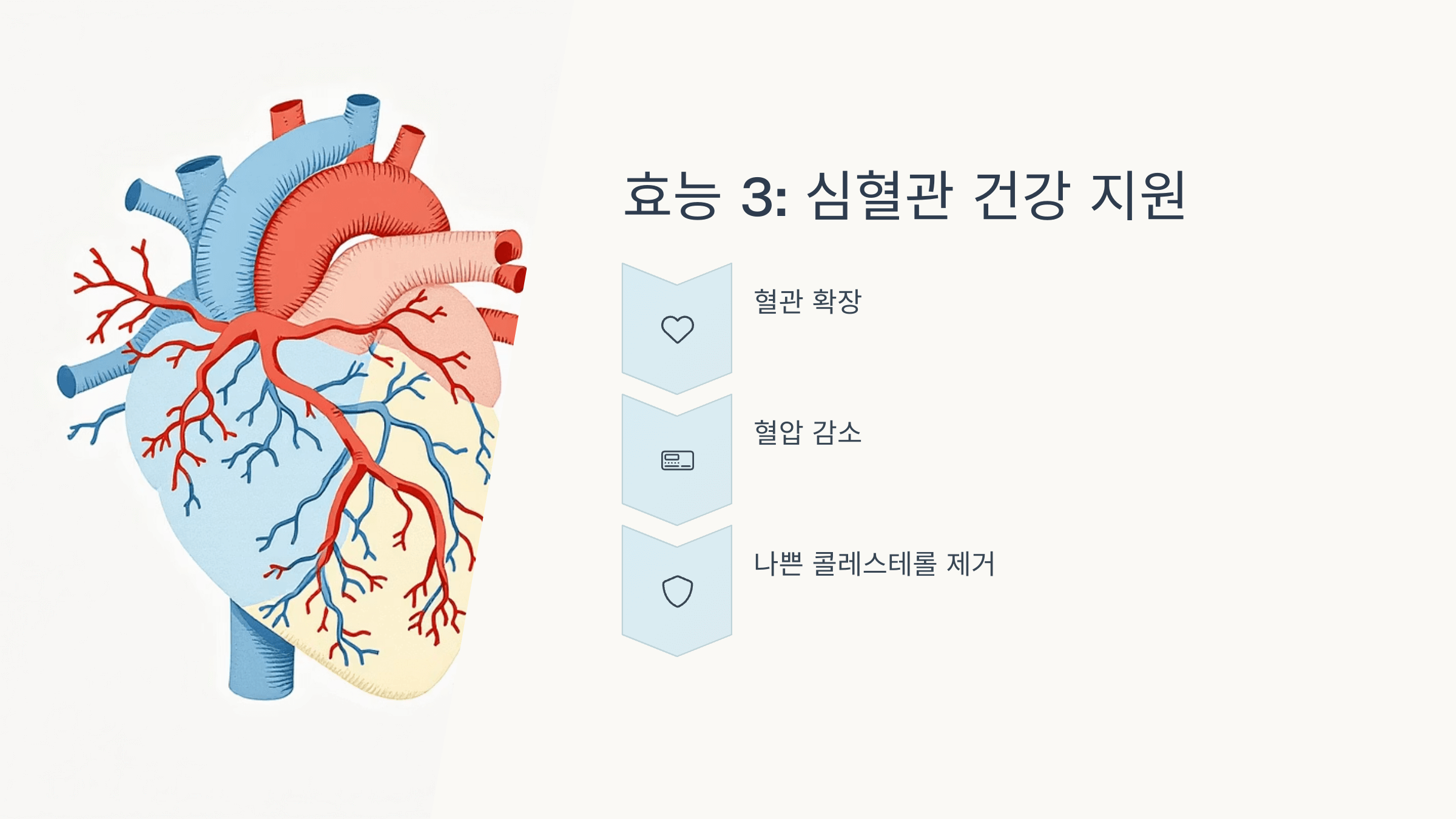 마늘 사진입니다.