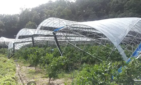 풍수해-피해-비닐하우스