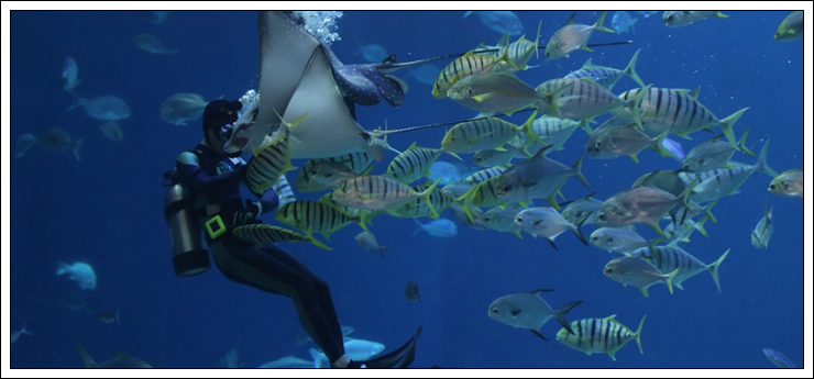 수산질병관리사 자격 요건 및 시험 정보들