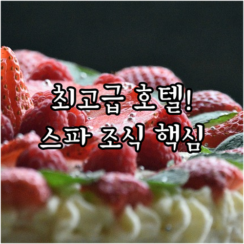 스위스 로잔 팰리스 등 최고급 숙소 ..