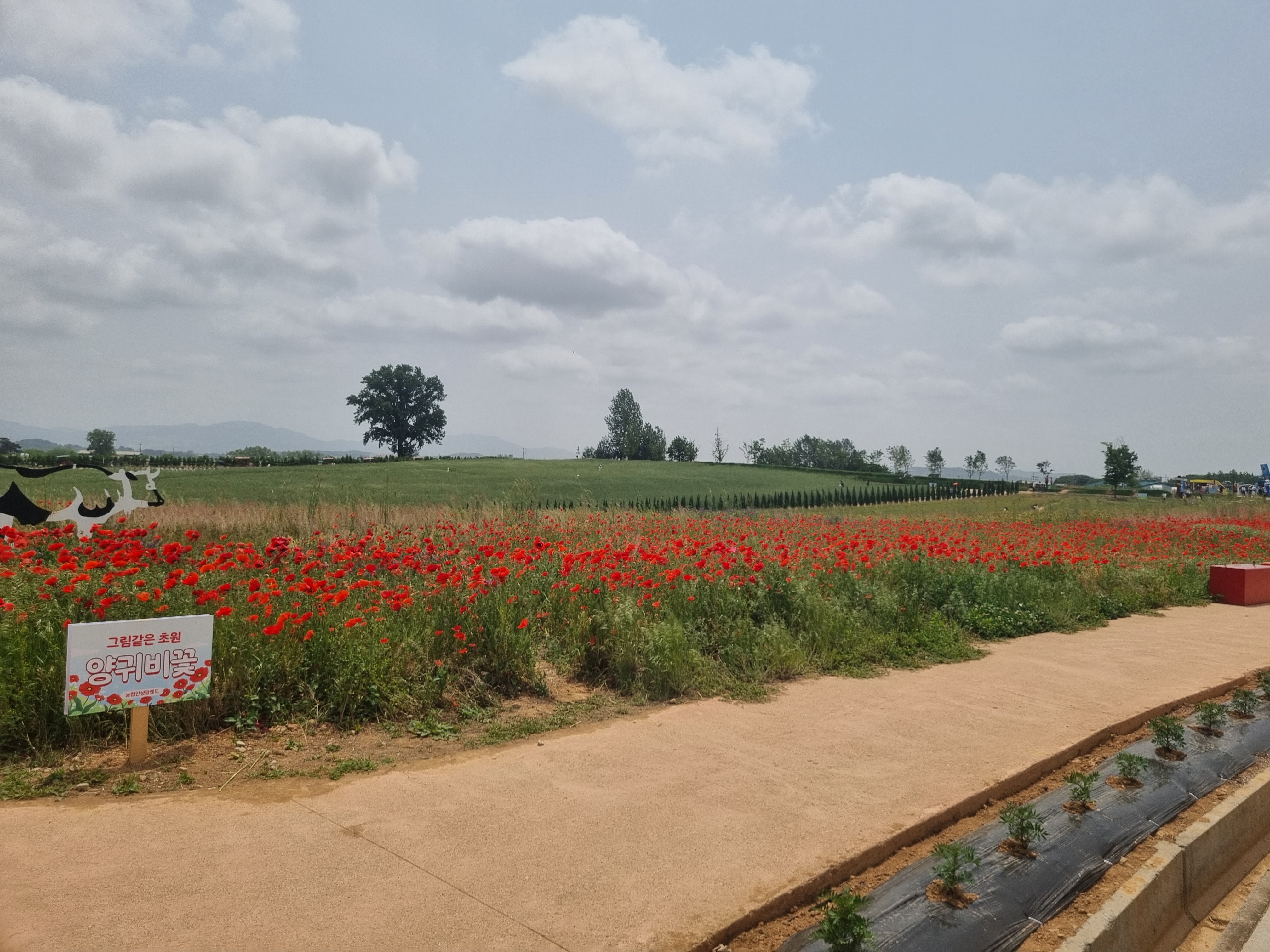 아이와 함께 여행