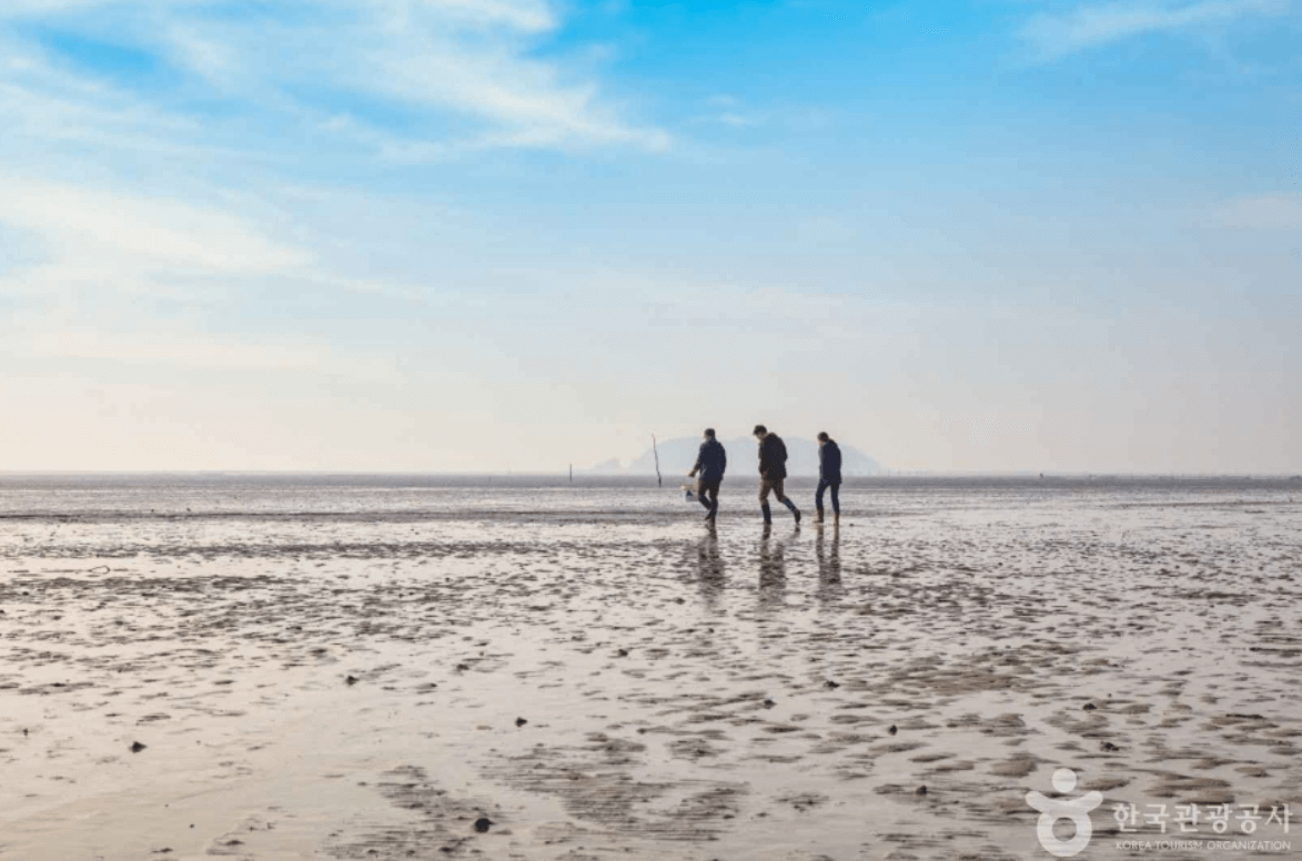 한들해수욕장 (옹진군)