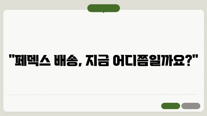 페덱스 배송조회