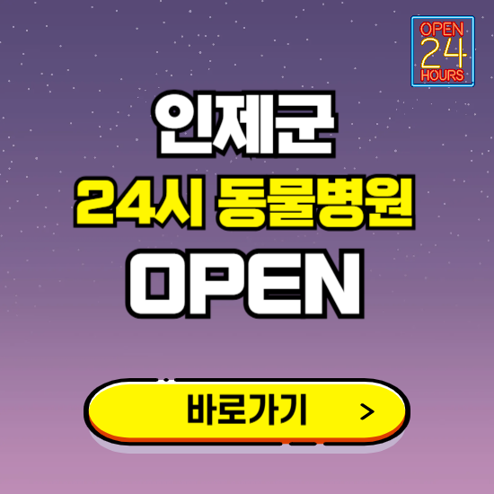 인제군 24시 동물병원 진료하는 곳 ❘ 설날 휴일 야간 심야 문여는곳 찾기 ❘ 응급진료